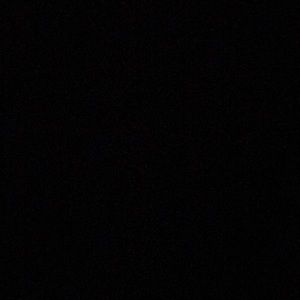 Meet your Posher, Dashawn